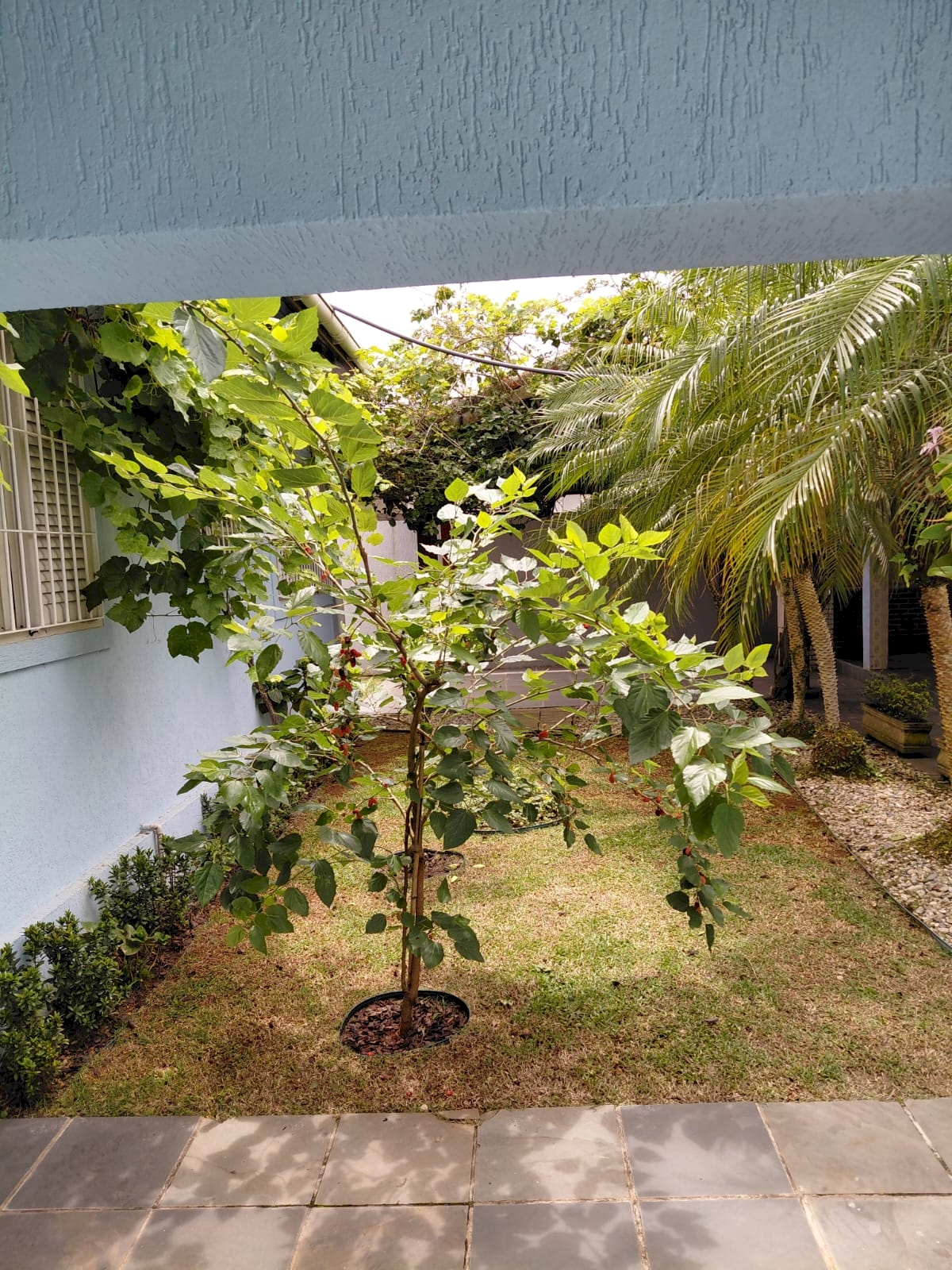 Imagem imóvel Casa Residencial