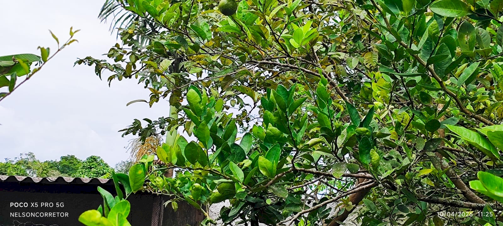 Imagem imóvel Chácara Residencial - Lado Pista