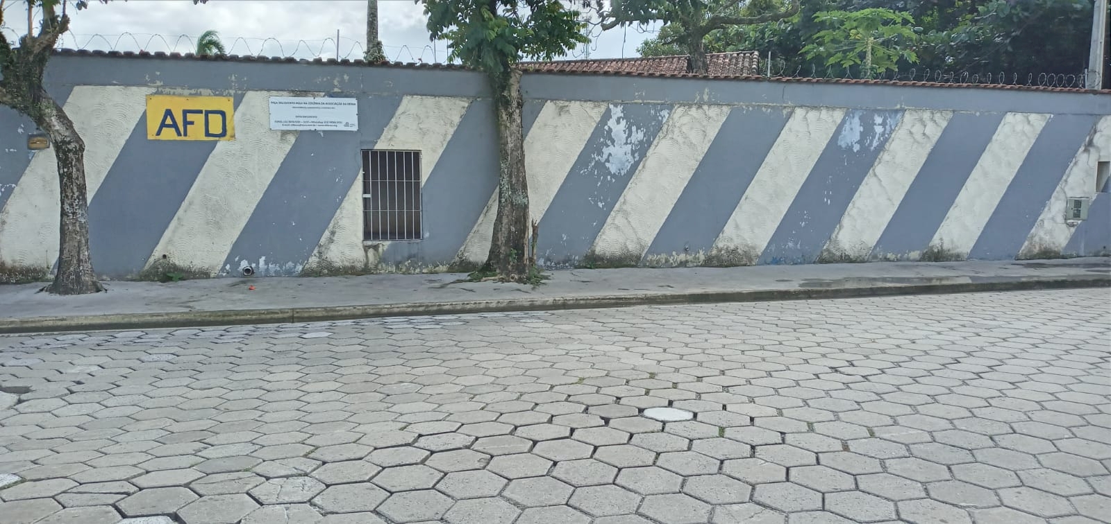 fb08533d729272059082e5d09b5c3a5d.jpg