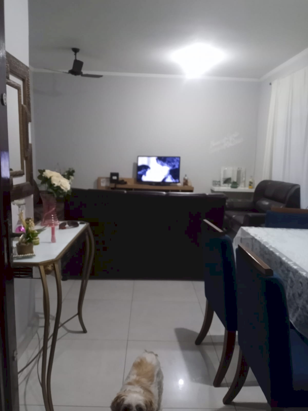 c08df08aceea05fb662b3ca261ecfbef.jpg