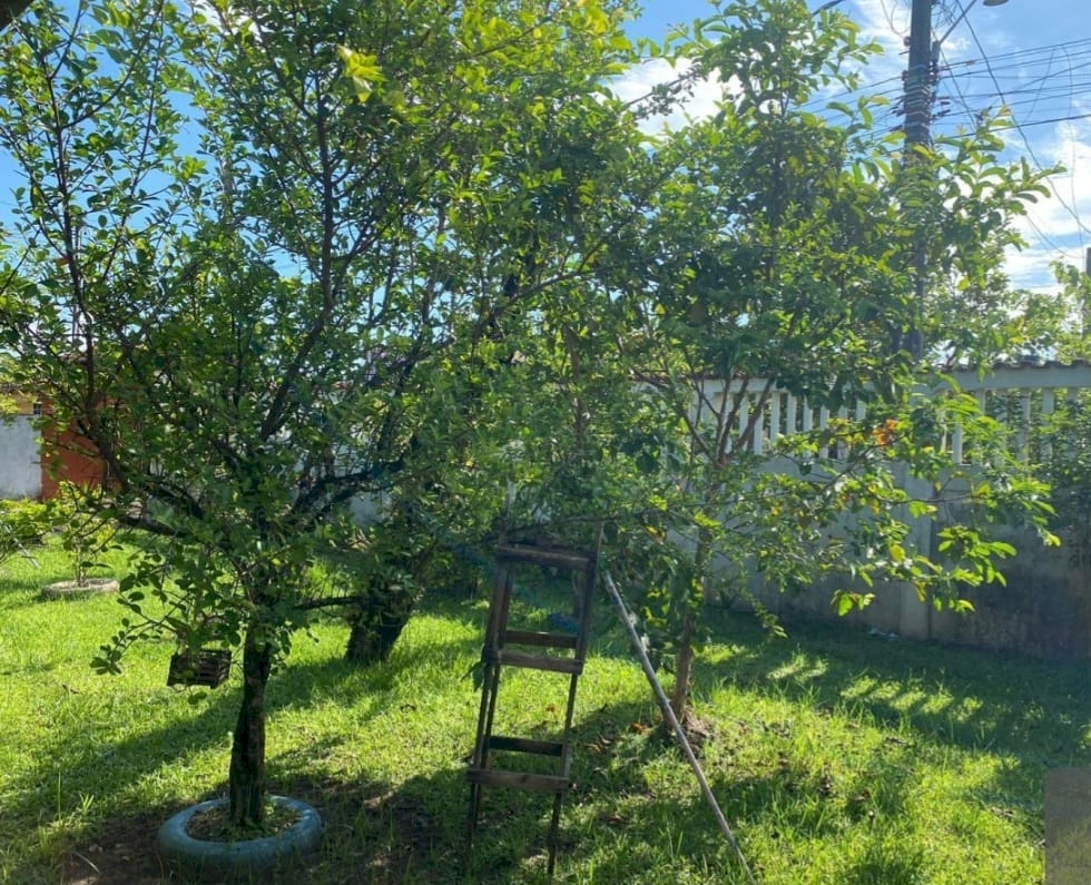 3d68d061cc3fbe2df69392ec018930cd.jpg