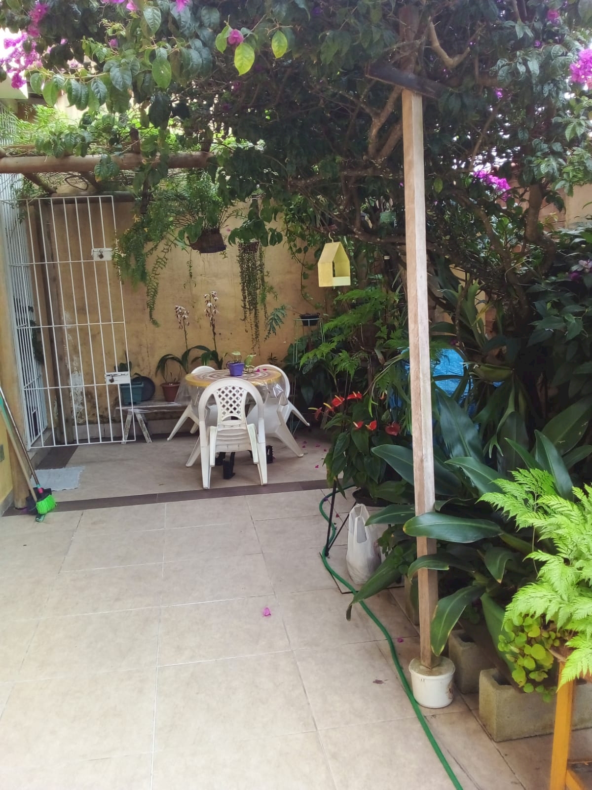 a8aa52dea4beda3f97fd3e522cb8dd09.jpg