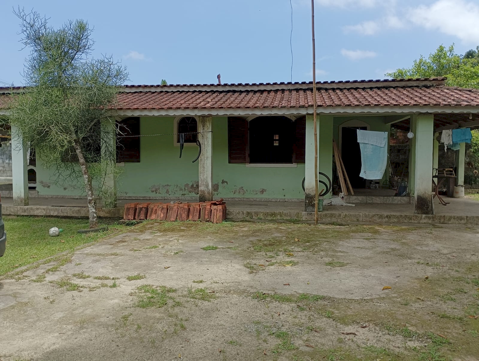 520225a7c868d8b6e268ca54ad062cbd.jpg