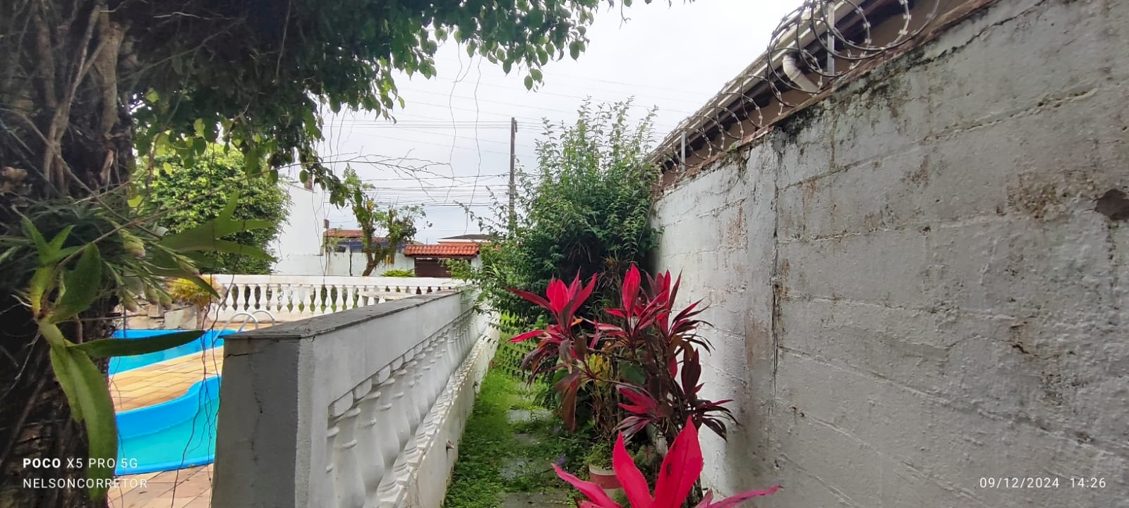 afdb63cf57ff5120149ecc7b581729a0.jpg