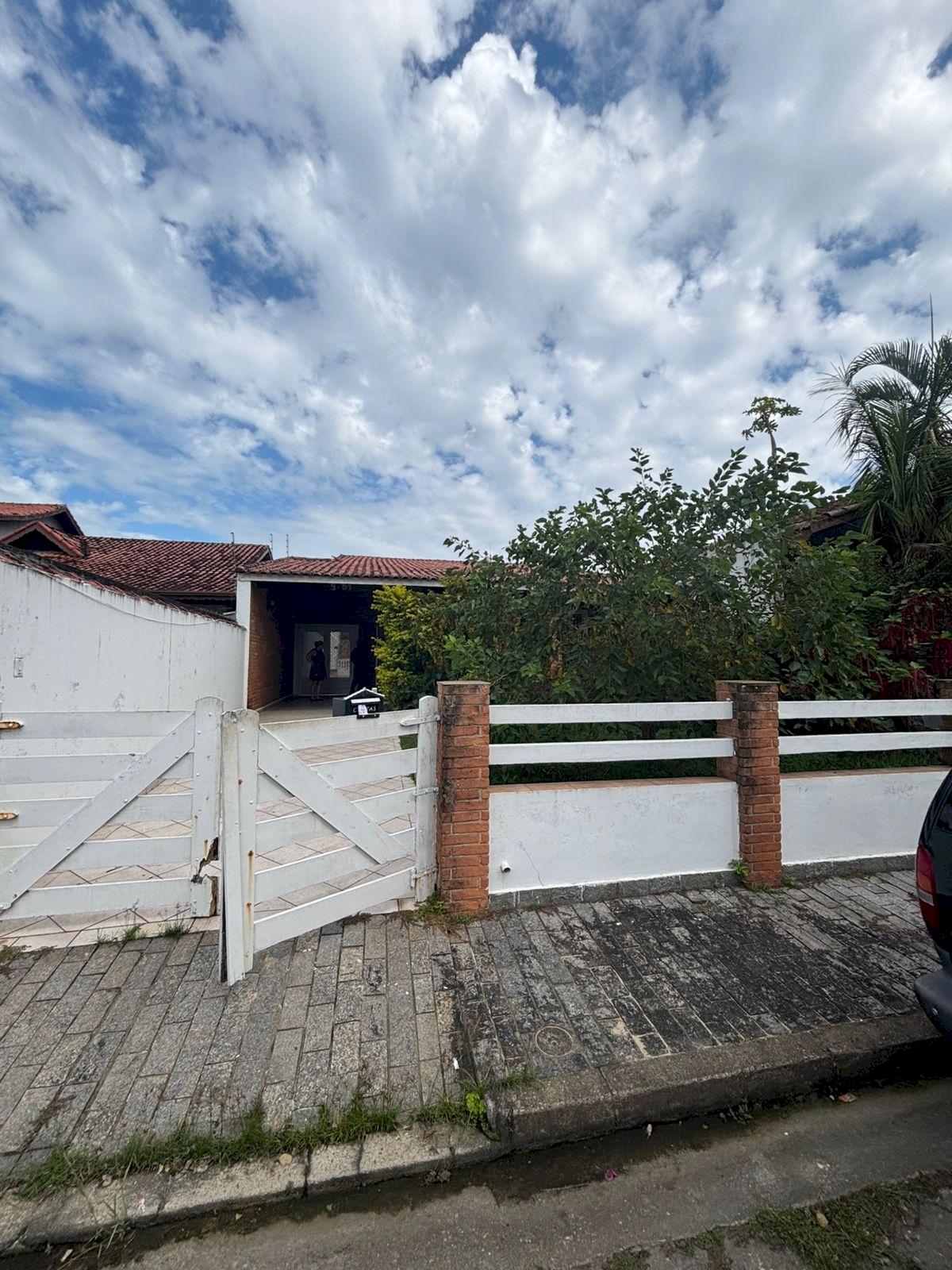 Suarão