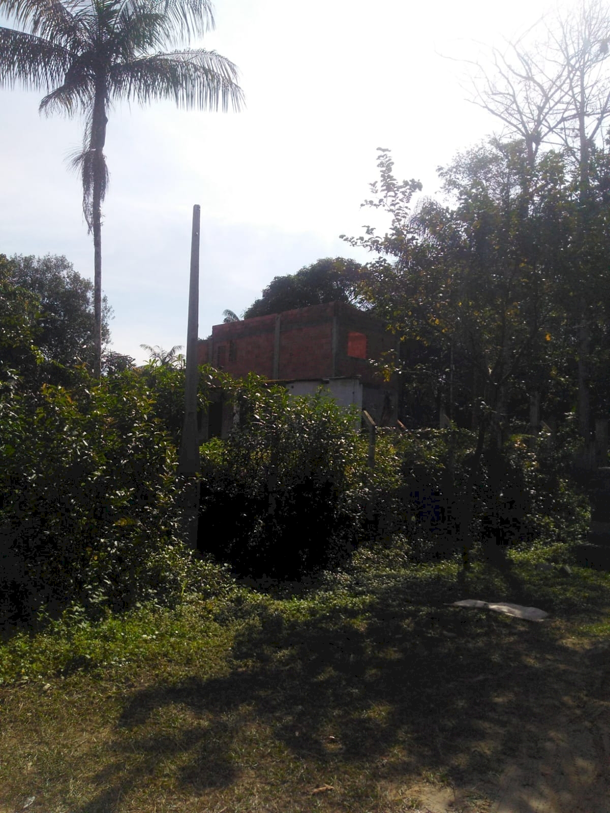3ca9002f328334da77ce946944d15506.jpeg