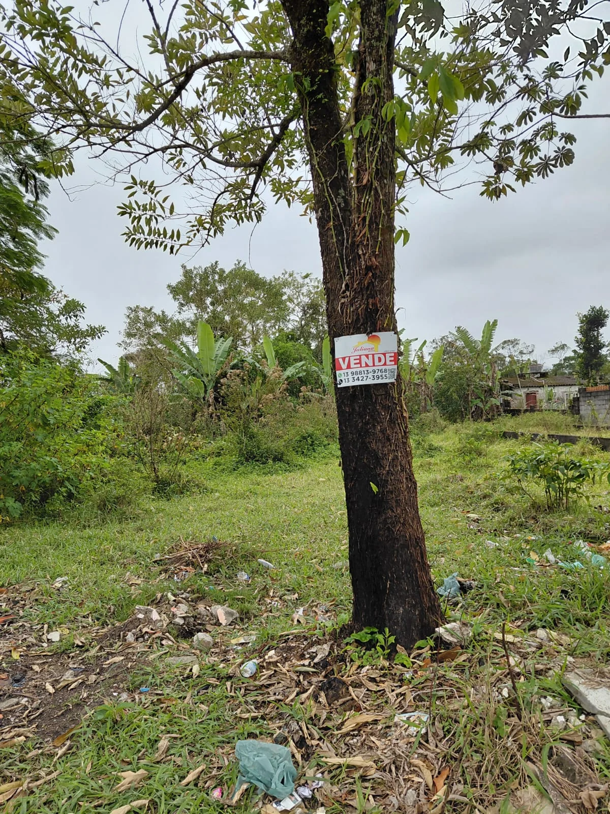 Terreno no bairro Oásis