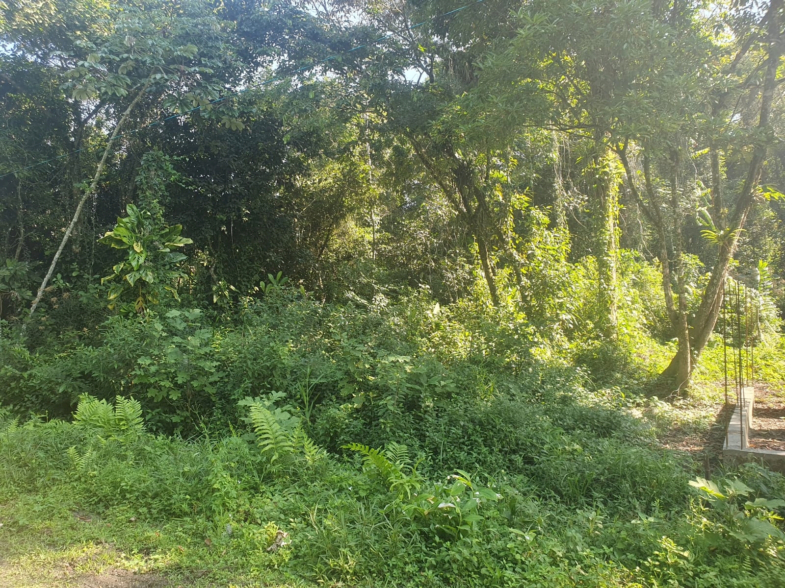 06870cbce8d65bf1e66936e1e9af9582.jpg