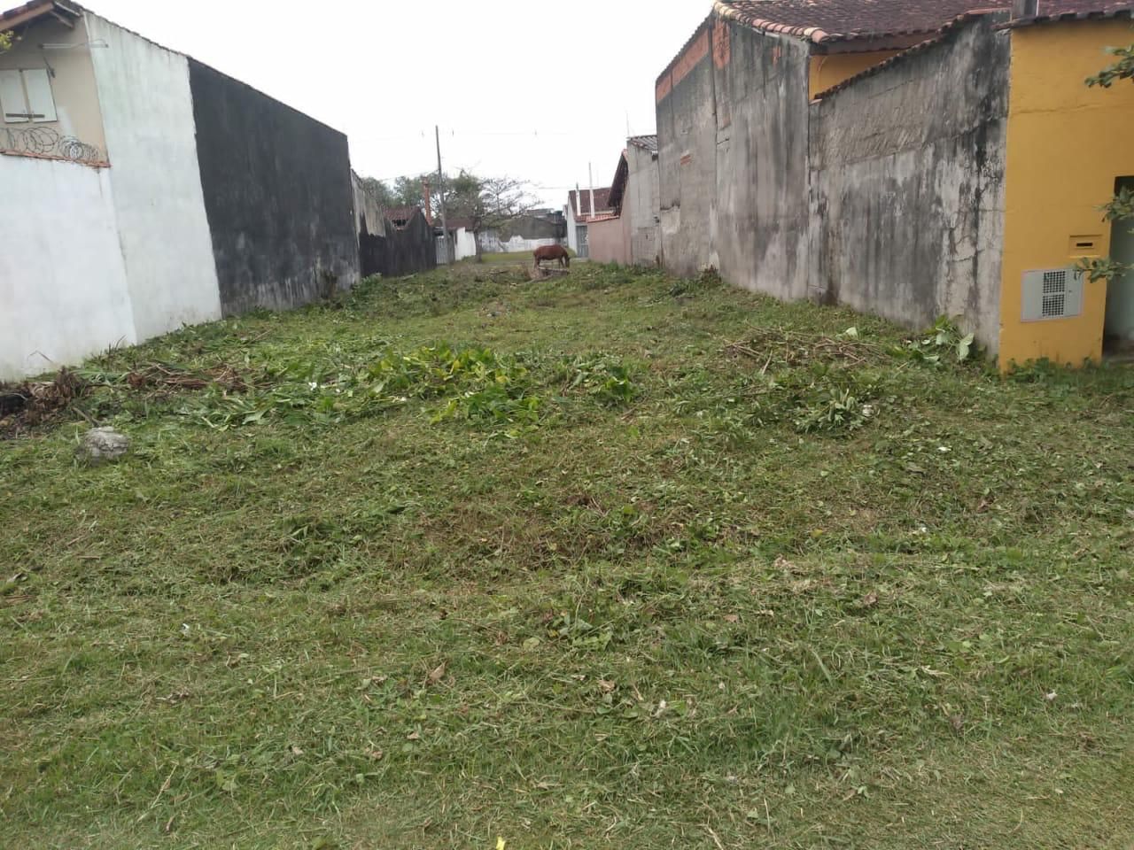Terreno bem localizado com 260m²