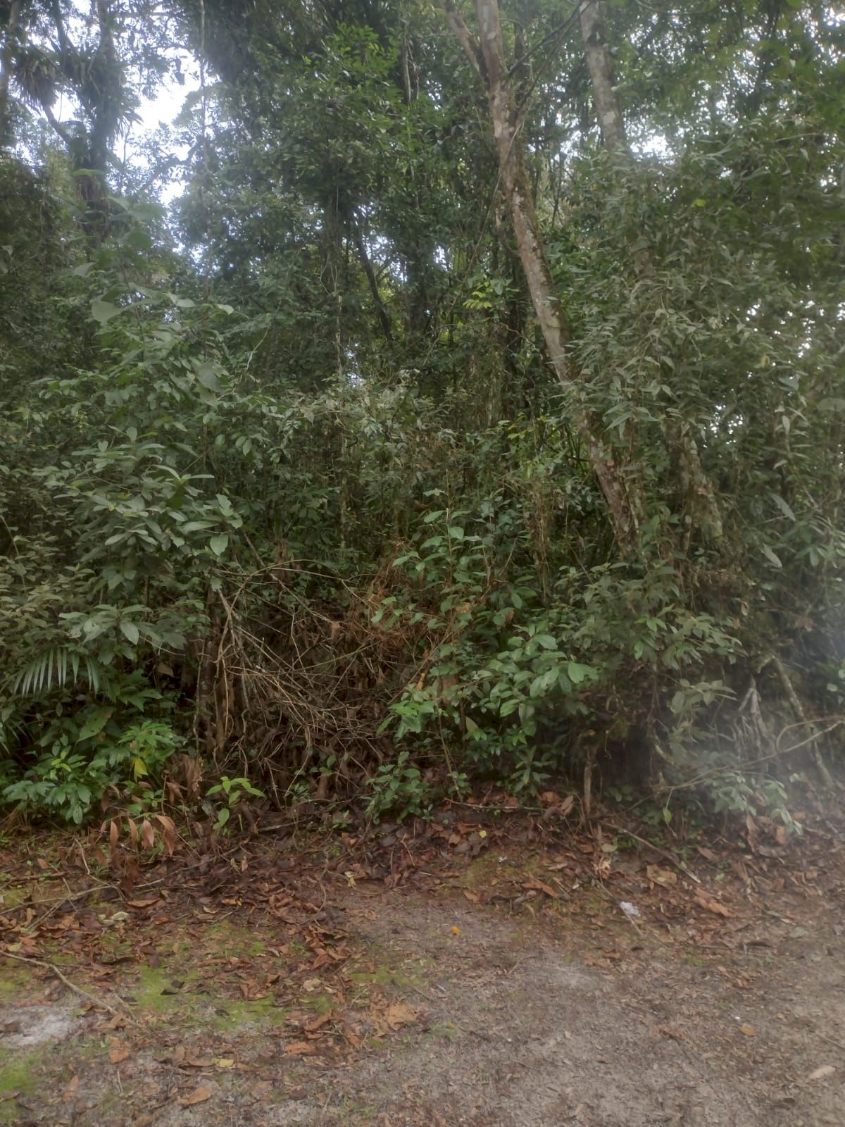 Terreno com 280m²